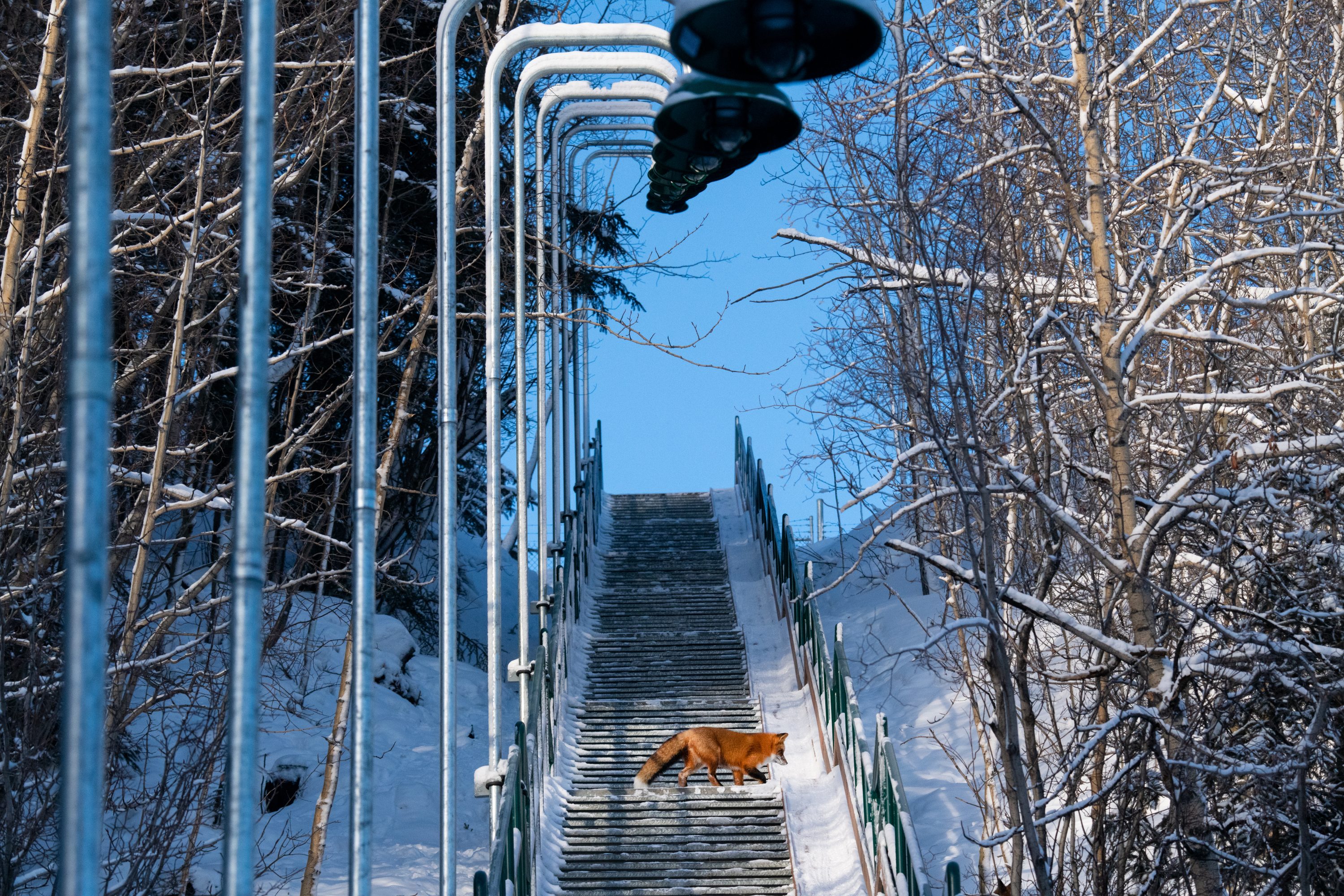 The Stairs